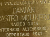 Damián Castro Molinero
